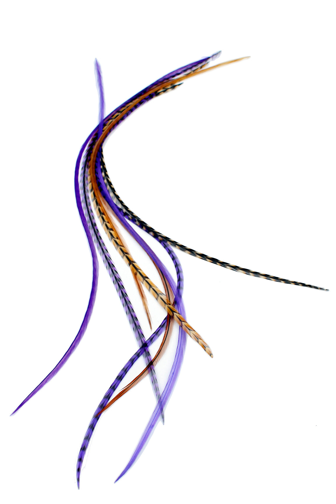 Purple Auburn