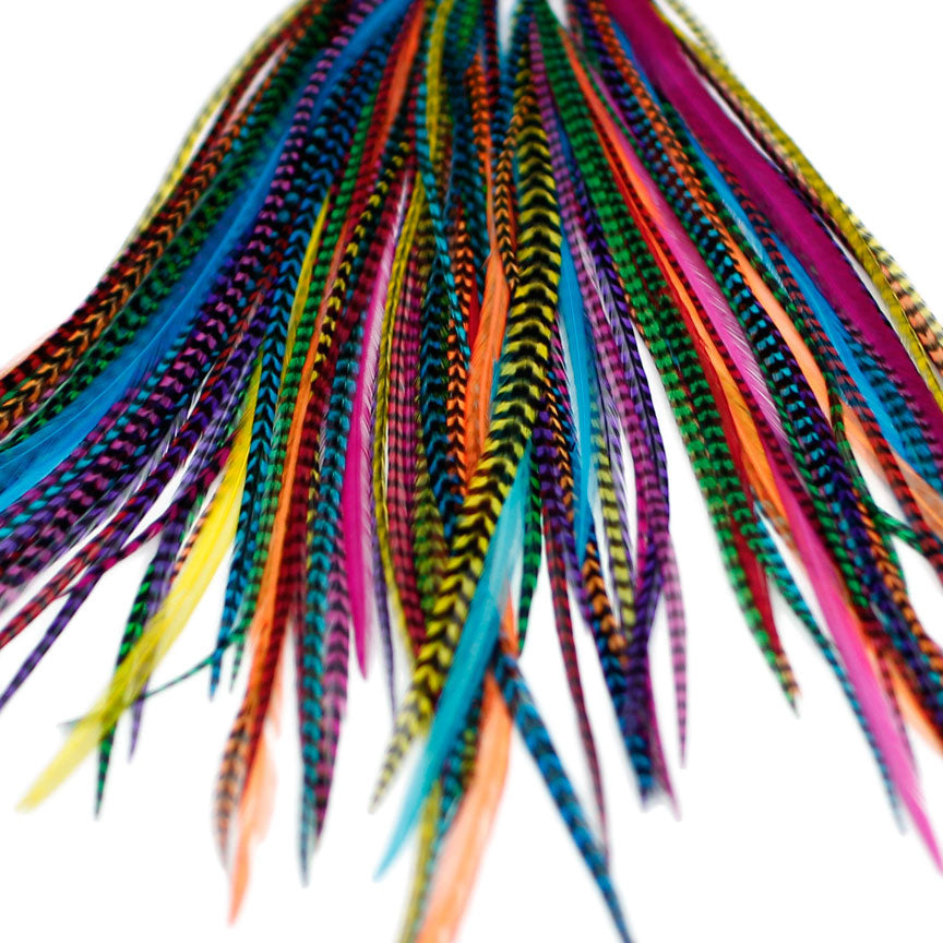 20x Discount B-Grade Feathers - Dyed Brights