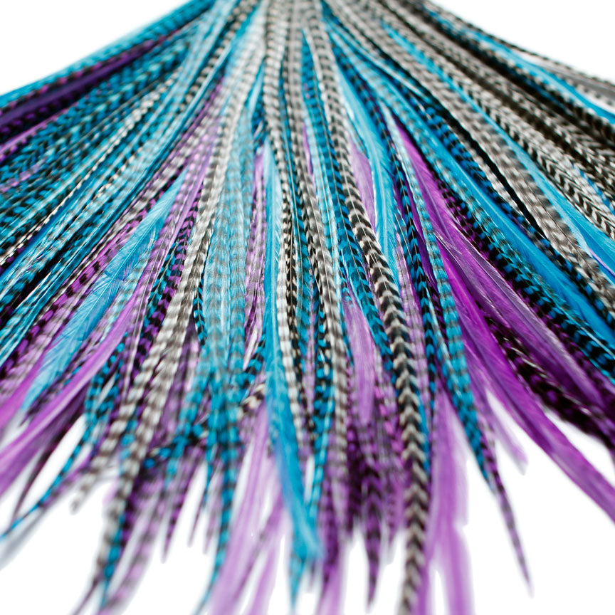 15x Discount B-Grade Feathers - Midnight
