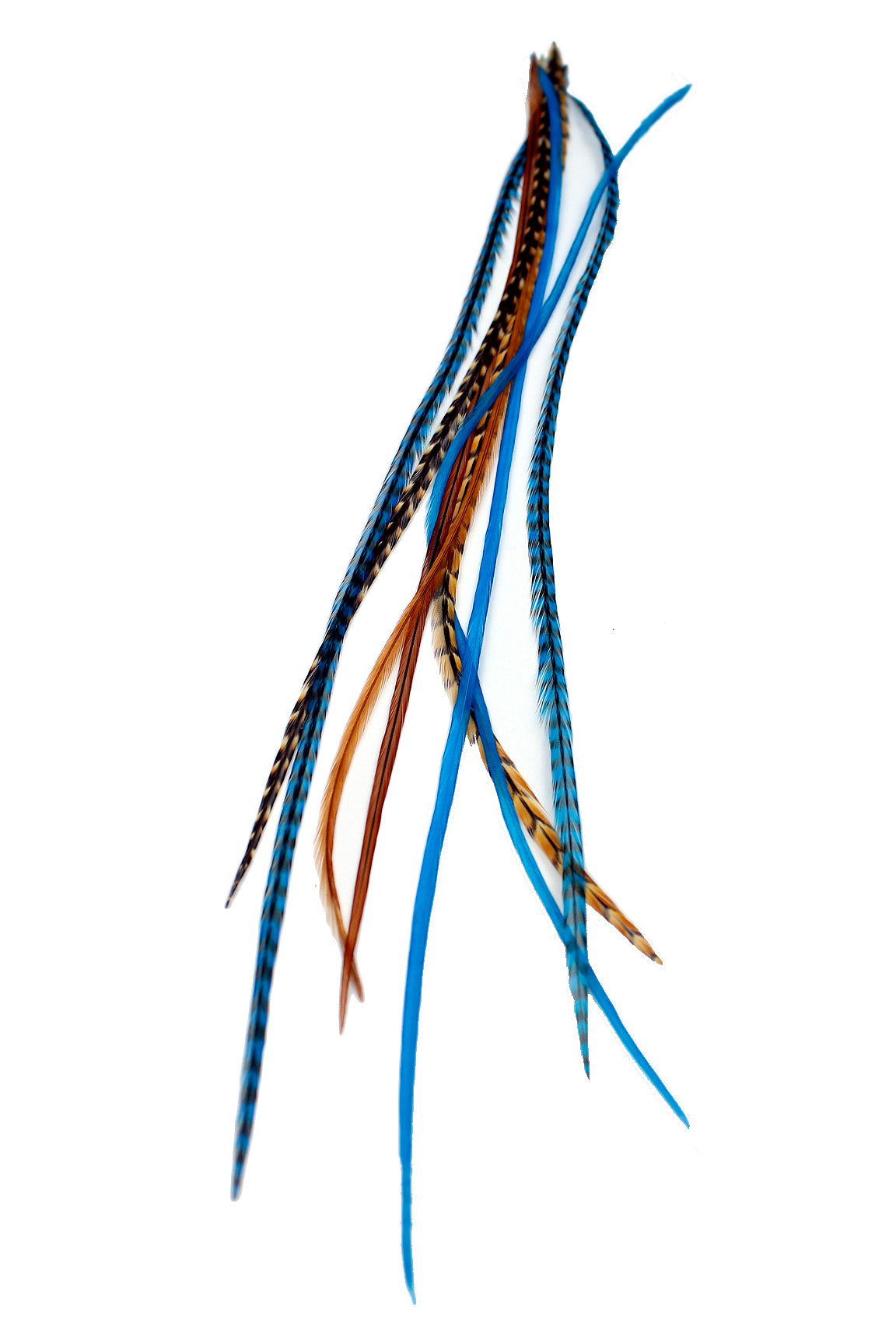 Blue Auburn