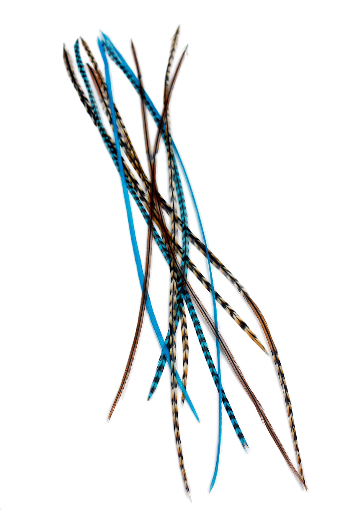 Aqua Auburn