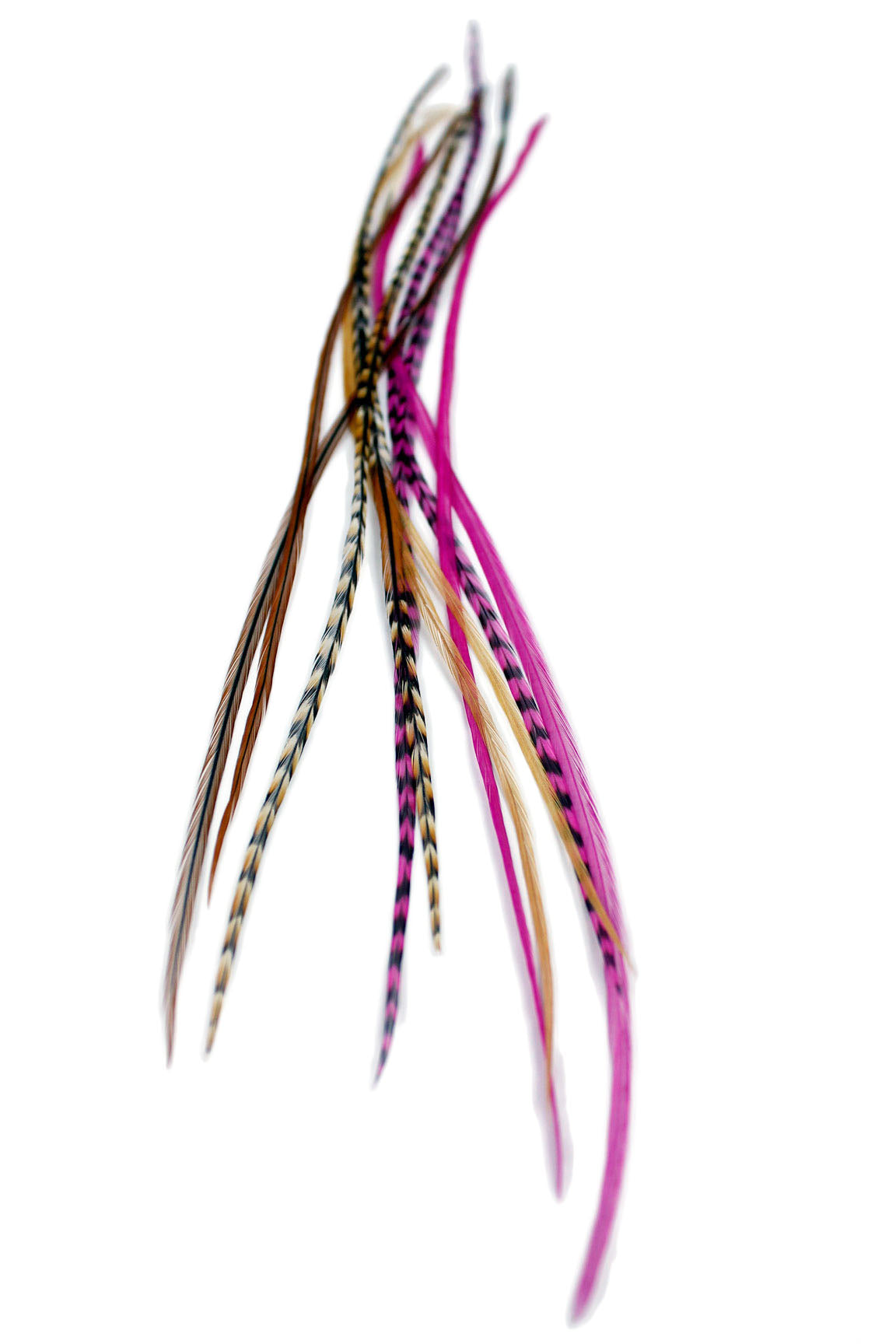 Pink Auburn