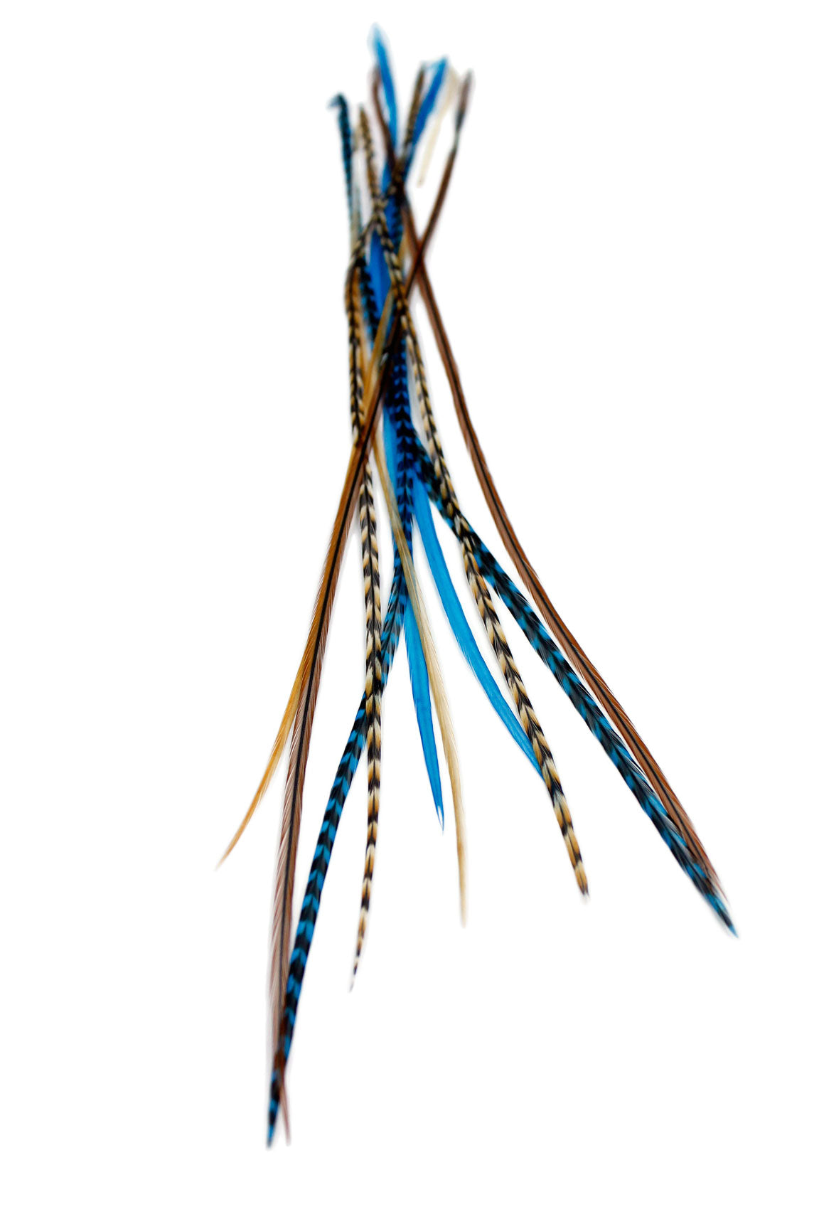 Blue Auburn