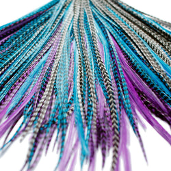 20x Discount  B-Grade Feathers - Midnight